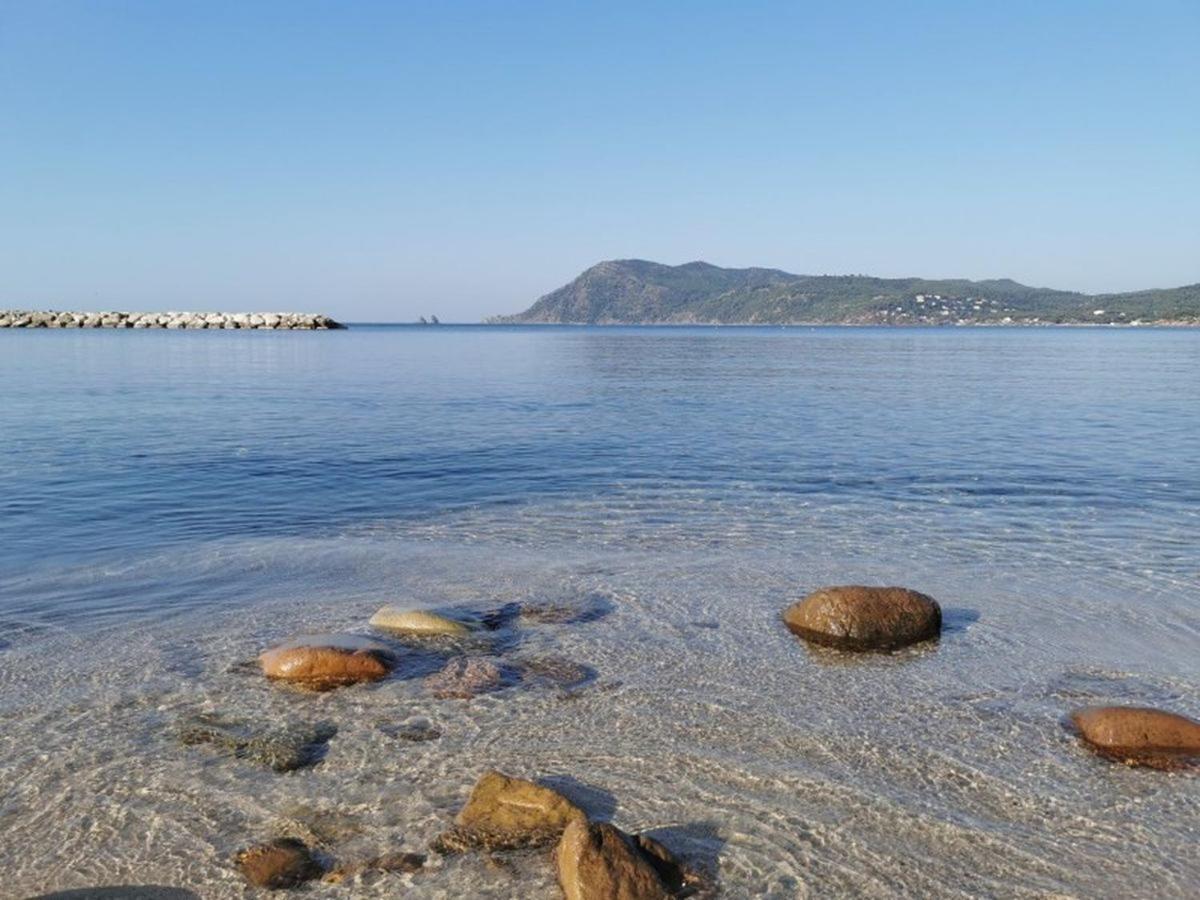 Havre De Paix A 2 Pas De L'Eau, Autonomie Apartment Saint-Mandrier-sur-Mer Ngoại thất bức ảnh